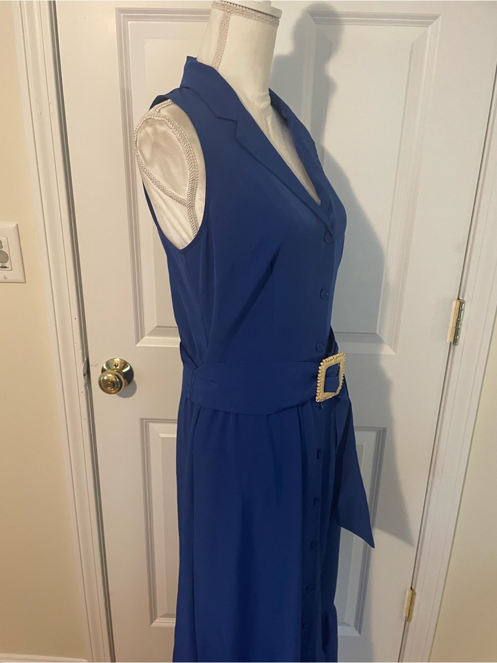 Sleeveless Blue Button-Front Maxi Dress with Waist Tie - Picture 5 of 10